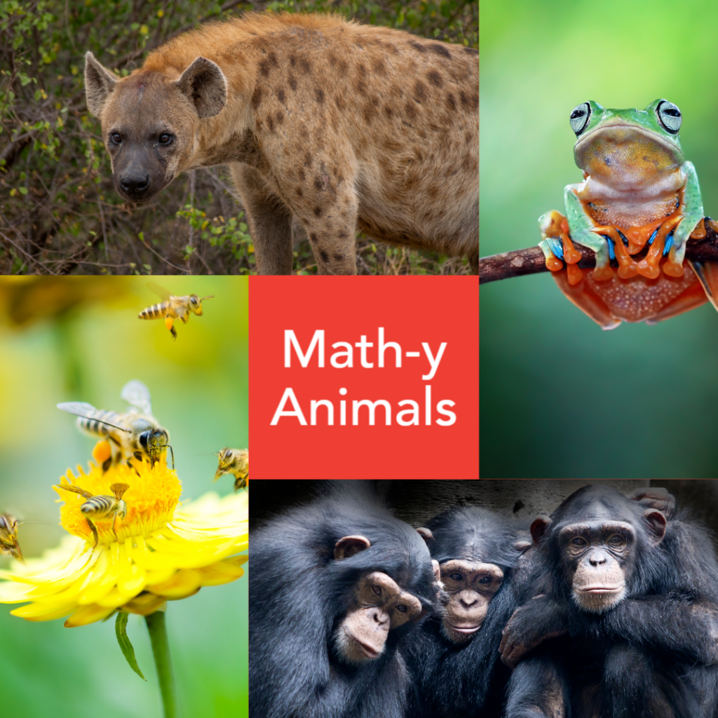 Math isn’t just for humans. Animals can count, too! | Mathnasium