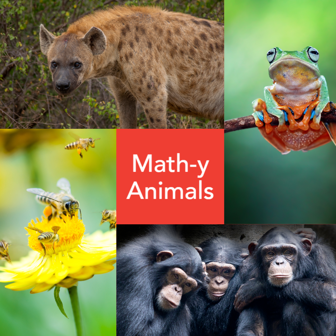 Math isnâ€™t just for humans. Animals can count, too!