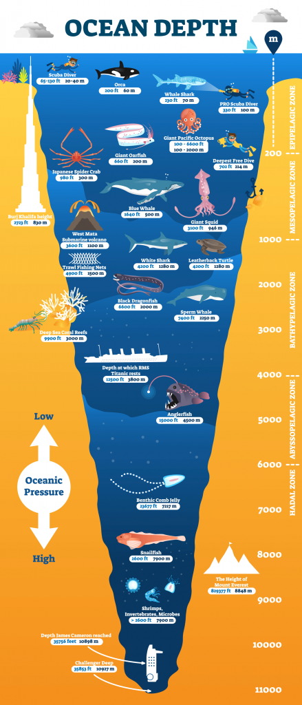 Ask Education How Deep Is The Ocean Mathnasium